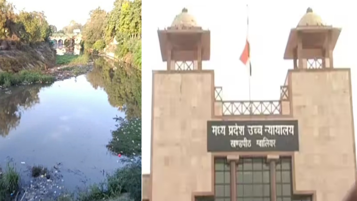 स्वर्णरेखा नदी: जज की अफसरों को फटकार- अमृतकाल का स्वर्ग दिखाकर मूर्ख बना रहे हैं? CBI जांच करा दूंगा