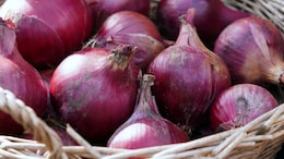 Centre Withdraws 20% Duty On Onion Exports, To Be Effective From April 1