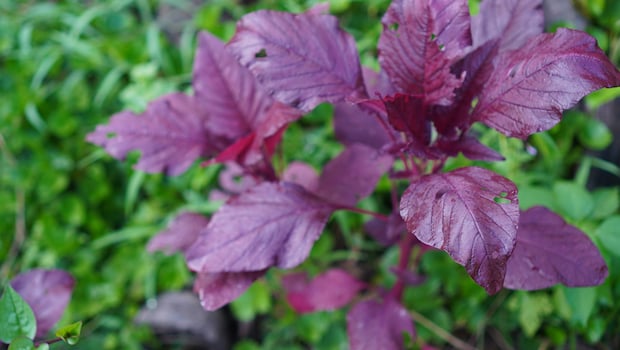 Add image caption here Add image caption here