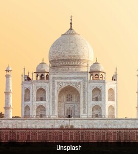 kurke288_taj-