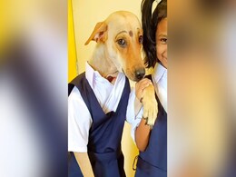 स्कूल यूनिफॉर्म पहनकर बच्ची के साथ स्कूल चला कुत्ता, Video देख लोगों को नहीं हो रहा यकीन, कहा- इससे क्यूट और कुछ नहीं स्कूल यूनिफॉर्म पहनकर बच्ची के साथ स्कूल चला कुत्ता, Video देख लोगों को नहीं हो रहा यकीन, कहा- इससे क्यूट और कुछ नहीं