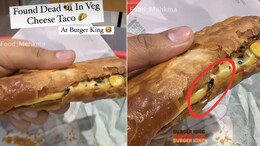Watch: Vlogger Finds Dead Fly In Burger King Taco; Fast-Food Chain Responds
