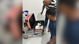 Pics: Man Attempts To Smuggle 10 Anacondas At Bengaluru Airport, Arrested