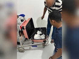 Pics: Man Attempts To Smuggle 10 Anacondas At Bengaluru Airport, Arrested Pics: Man Attempts To Smuggle 10 Anacondas At Bengaluru Airport, Arrested