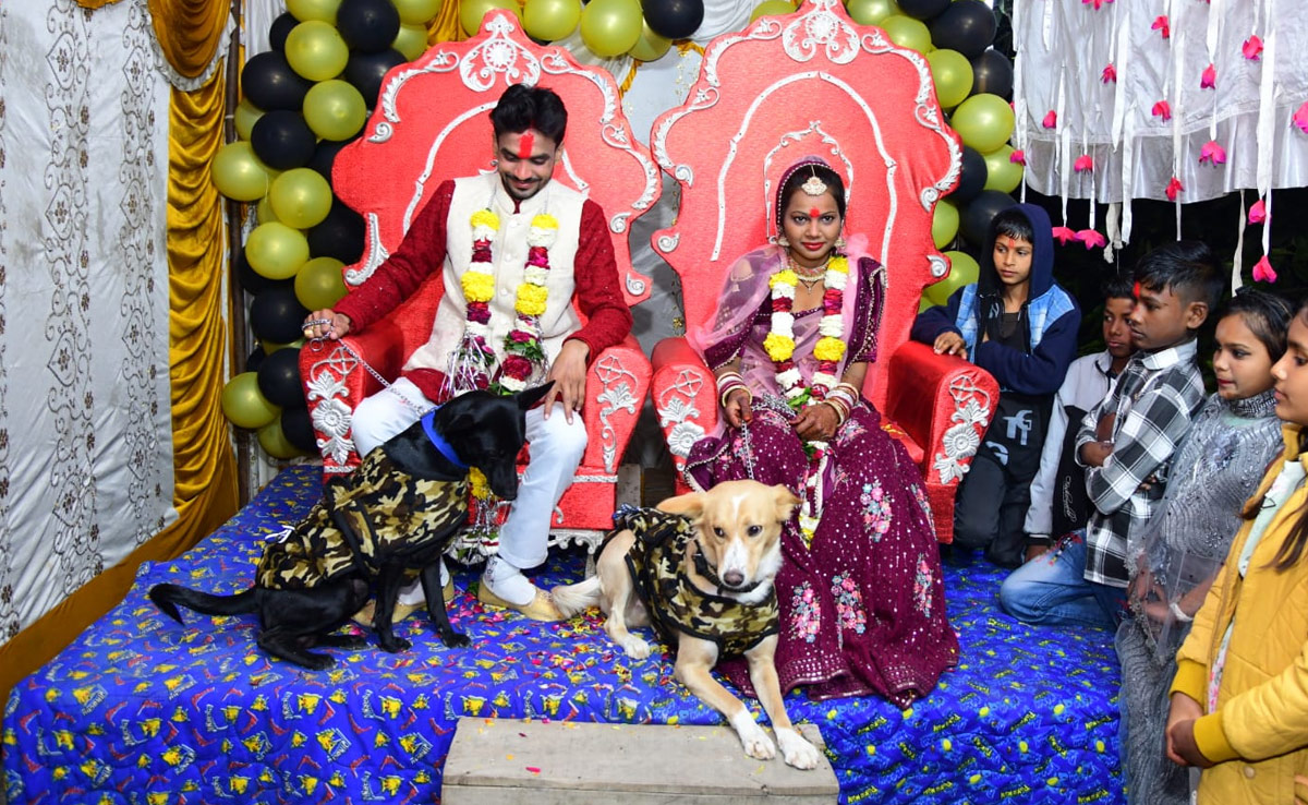 MP News: दिखा अनोखा डॉग प्रेम, शादी के कार्ड पर छपवा दिया नाम, सामारोह में मंच पर कराया साथ में फोटो सेशन