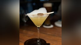 Bengaluru Restaurant Serves Cocktail Inspired By Varthur Lake Pollution, Internet Reacts