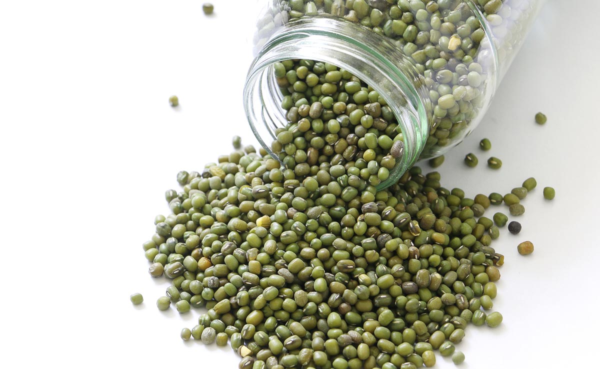 खाली पेट खाएंगे अंकुरित मूंग दाल तो शरीर को मिलेंगे जबरदस्त फायदे