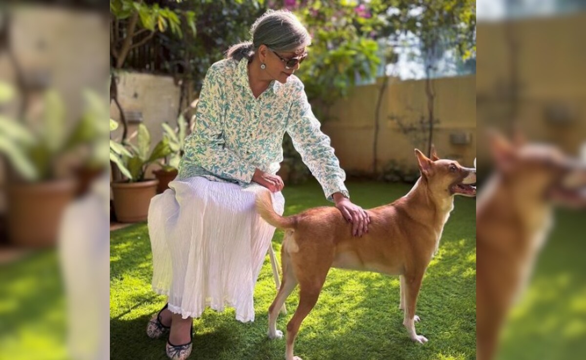 Zeenat Aman's Relationship Advice To Fans: "Live Together Before Getting Married"