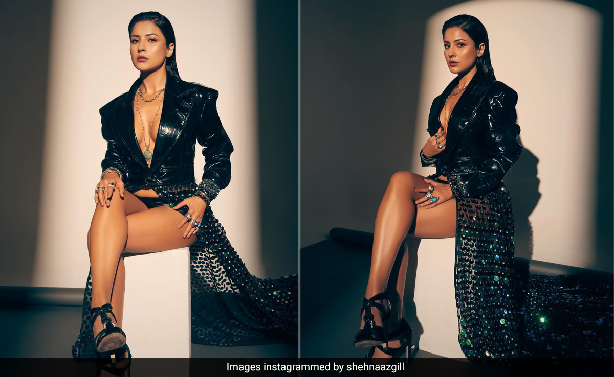 Shehnaaz Gill's Stunning Bold Black Outfit Has Risque Written All Over It