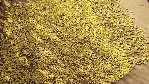 Latest and Breaking News on NDTV Latest and Breaking News on NDTV