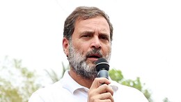 UP की दो हॉट सीटों पर कांग्रेस का सस्पेंस खत्म, रायबरेली से राहुल गांधी और अमेठी से केएल शर्मा लड़ेंगे चुनाव&nbsp;