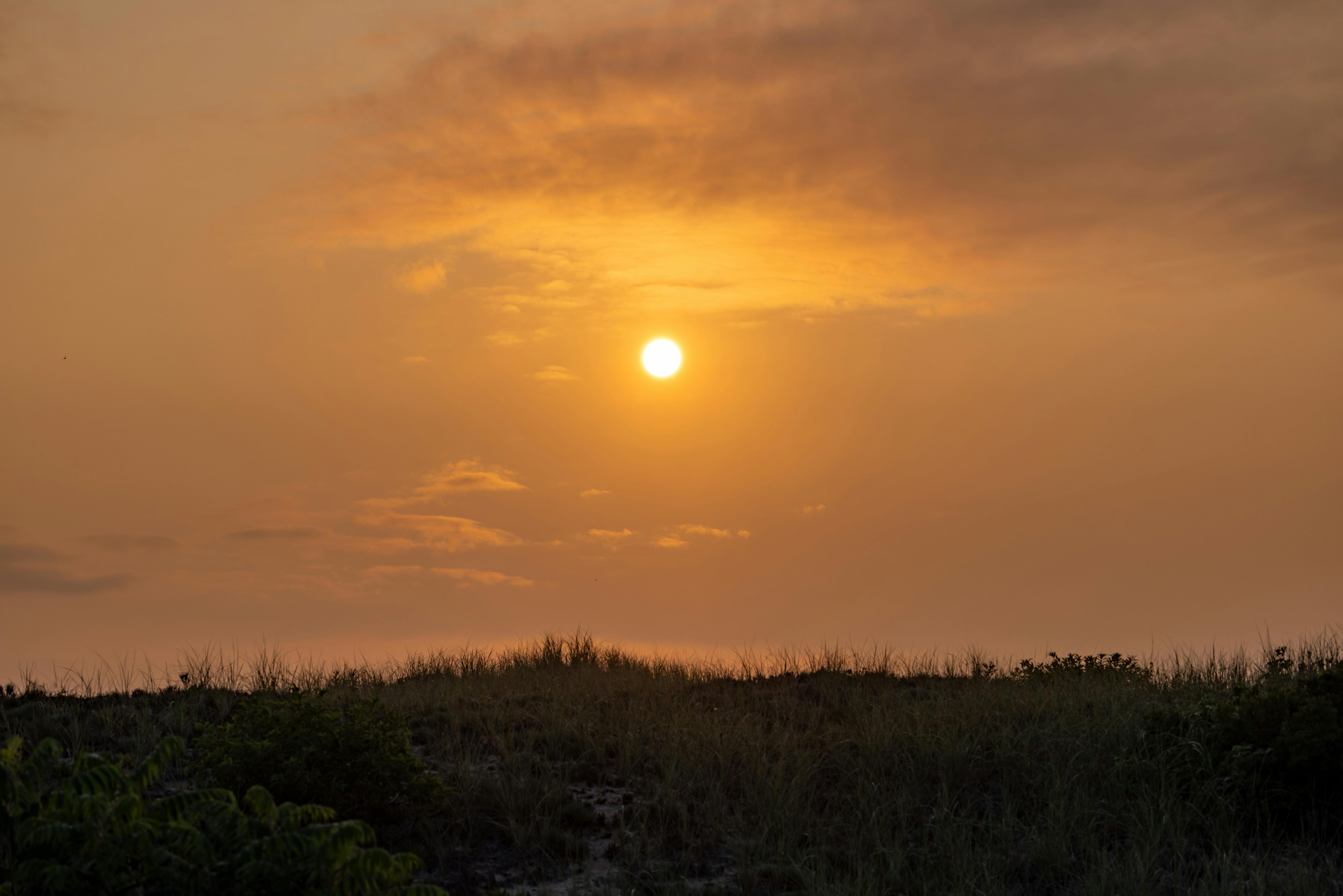Nautapa 2024: मई और जून के महीने में 9 दिनों तक पड़ती है भीषण गर्मी, जानिए- इसे क्यों कहा जाता है नौतपा? इस दौरान ऐसे रखें अपना ध्यान