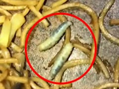 चाउमिन प्रेमी दिल संभाल कर देखें ये वाला वायरल वीडियो, दिखेंगे कीड़े ही कीड़े, लगेगा 100 वॉट का झटका