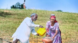 India Will Have 17 Percent Of Global Elderly Population By 2050: Report