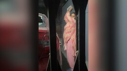 Video: UP School Teacher Smashes Neighbour's Car With Brick, Attacks Family