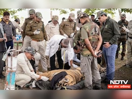 World Veterinary Day: 20 बाघों को रेस्क्यू कर दे चुके हैं नई जिंदगी, जानिए कौन हैं यह जानवरों के मसीहा World Veterinary Day: 20 बाघों को रेस्क्यू कर दे चुके हैं नई जिंदगी, जानिए कौन हैं यह जानवरों के मसीहा
