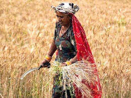 मोदी सरकार का किसानों को दिवाली गिफ्ट, गेहूं, सरसों सहित कई फसलों का MSP बढ़ा मोदी सरकार का किसानों को दिवाली गिफ्ट, गेहूं, सरसों सहित कई फसलों का MSP बढ़ा