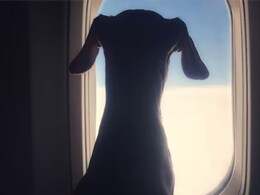 अब डॉग्स भी कर सकेंगे हवाई सफर, एयरलाइन्स ने किया फर्स्ट क्लास फ्लाइंग एक्सपीरियंस का वादा अब डॉग्स भी कर सकेंगे हवाई सफर, एयरलाइन्स ने किया फर्स्ट क्लास फ्लाइंग एक्सपीरियंस का वादा