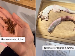 Watch: Can You Eat These Repulsive Foods From The 'Disgusting Food Museum' In Sweden? Watch: Can You Eat These Repulsive Foods From The 'Disgusting Food Museum' In Sweden?