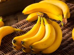 Homemade Anti aging Mask: केले का ऐसा इस्तेमाल बनाए रखेगा आपको हमेशा जवां, झुर्रियां कहेंगी अलविदा     Homemade Anti aging Mask: केले का ऐसा इस्तेमाल बनाए रखेगा आपको हमेशा जवां, झुर्रियां कहेंगी अलविदा