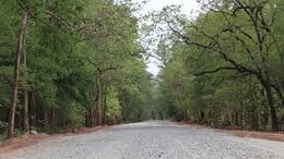 नक्सलियों के खौफ के चलते इस बूथ पर नहीं हुई वोटिंग ! जानिए गांववालों ने और क्या बताई वजह&nbsp;