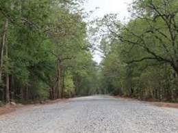 नक्सलियों के खौफ के चलते इस बूथ पर नहीं हुई वोटिंग ! जानिए गांववालों ने और क्या बताई वजह  नक्सलियों के खौफ के चलते इस बूथ पर नहीं हुई वोटिंग ! जानिए गांववालों ने और क्या बताई वजह