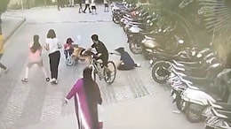 Video: German Shepherd Bites 6-Year-Old At Ghaziabad Housing Complex
