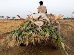 राजस्थान में पीड़ित किसान को मिलेंगे 18 लाख रुपये, जानें वजह राजस्थान में पीड़ित किसान को मिलेंगे 18 लाख रुपये, जानें वजह