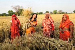 Hema Malini Poses With Women Working In Fields While Campaigning Hema Malini Poses With Women Working In Fields While Campaigning