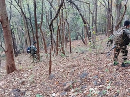 12 Maoists Killed In Encounter With Security Forces In Chhattisgarh 12 Maoists Killed In Encounter With Security Forces In Chhattisgarh