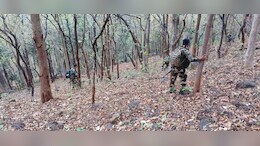3 Maoists Killed In Encounter With Security Forces In Chhattisgarh