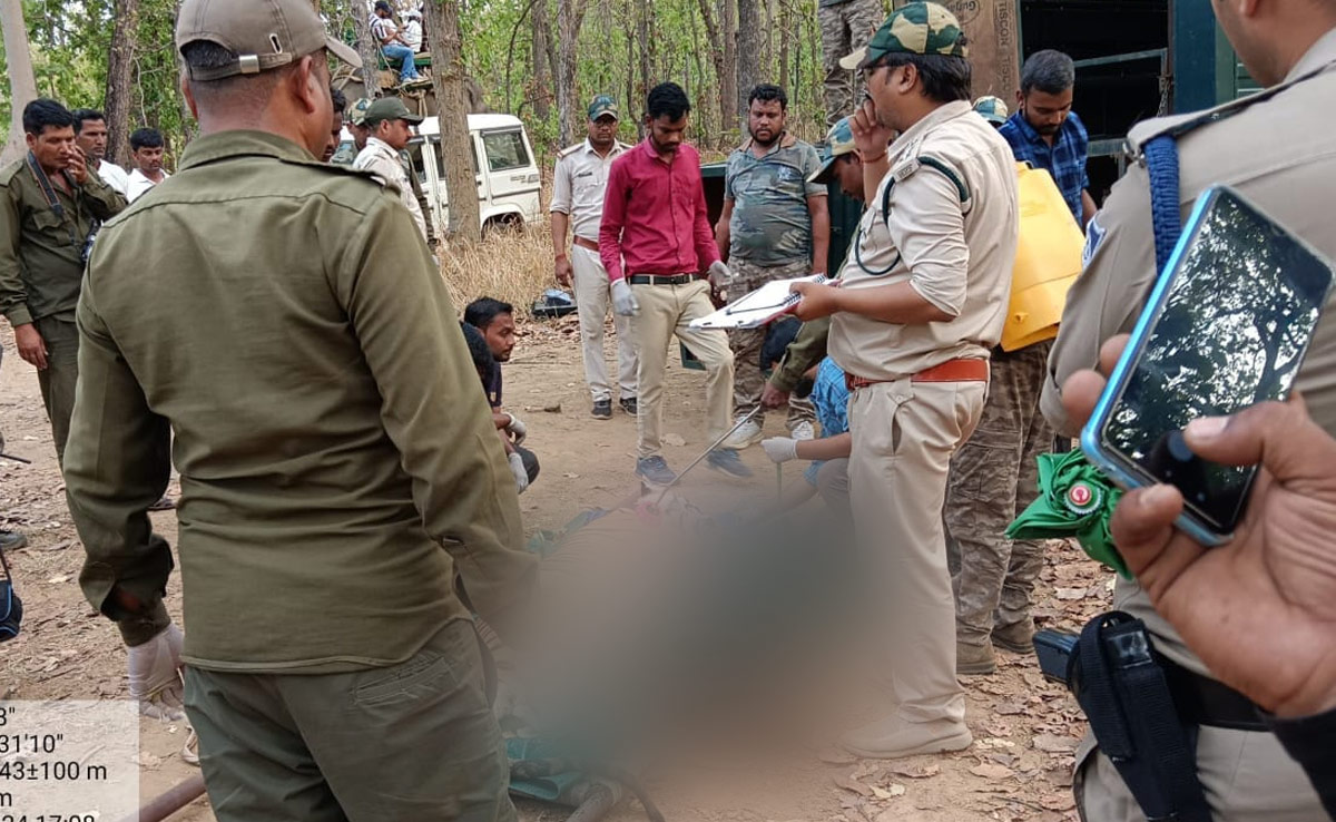 MP News: मादा बाघ को रेस्क्यू कर पहुंचाया गया संजय टाइगर रिजर्व क्षेत्र, ग्रामीणों ने ली राहत की सांस