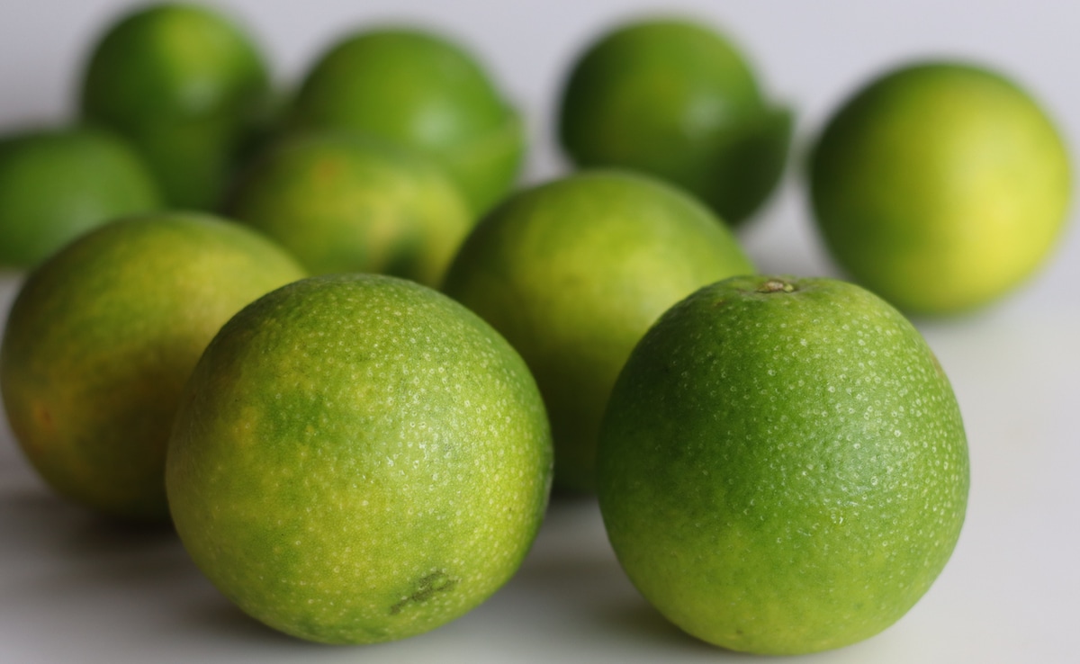 Latest and Breaking News on NDTV Latest and Breaking News on NDTV