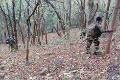 Silence, Footsteps And Then Gunfire: Behind The Scenes Of Maoist Encounter Silence, Footsteps And Then Gunfire: Behind The Scenes Of Maoist Encounter