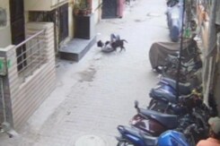 15-Year-Old Boy Critical After Attack By Pit Bull In Ghaziabad 15-Year-Old Boy Critical After Attack By Pit Bull In Ghaziabad