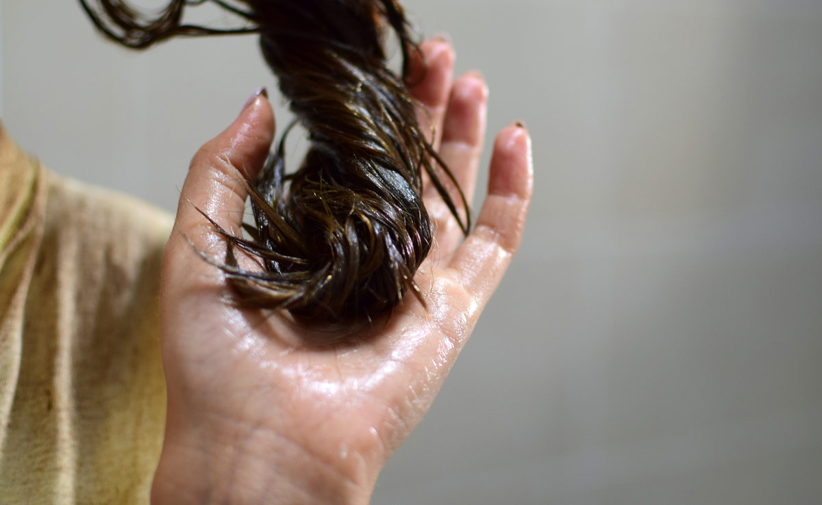 Winter Hair Care: Try these hair masks to reduce dandruff and boost hair health