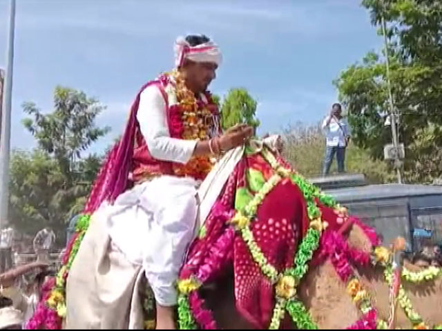 Candidate Arrives On Camel To File Nomination In Rajasthan's Banswara
