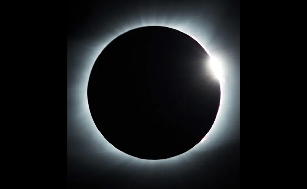 How Animals And Nature React To Total Solar Eclipse, Scientists Explain