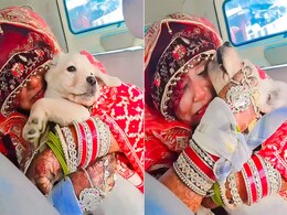 विदा होने से पहले अपने डॉगी से लिपटकर कर रोने लगी दुल्हन, वायरल Video देख इमोशनल हुए लोग, बोले- ये है सच्चा नाता विदा होने से पहले अपने डॉगी से लिपटकर कर रोने लगी दुल्हन, वायरल Video देख इमोशनल हुए लोग, बोले- ये है सच्चा नाता