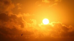 MP Today Weather: MP में 48 डिग्री का टॉर्चर, लू के थपेड़ों से जीना हुआ मुहाल