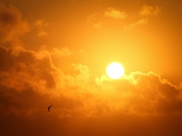 MP Today Weather: MP में 48 डिग्री का टॉर्चर, लू के थपेड़ों से जीना हुआ मुहाल MP Today Weather: MP में 48 डिग्री का टॉर्चर, लू के थपेड़ों से जीना हुआ मुहाल