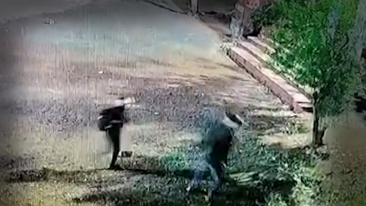 शिवपुरी : कलेक्ट्रोरेट में लगी आग के पीछे थी साजिश, CCTV में कैद