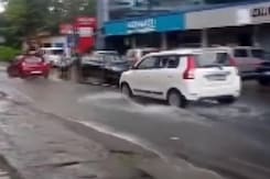 Heavy Rain Uproots Trees, Blocks Roads In Kerala's Pathanamthitta Heavy Rain Uproots Trees, Blocks Roads In Kerala's Pathanamthitta