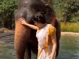 लुक के चलते की गई रिजेक्ट, 15 साल तक नहीं मिली एक भी हिट, फिर बॉक्स ऑफिस पर मचाया धमाल, टॉप हीरोइनों को छोड़ दिया पीछे लुक के चलते की गई रिजेक्ट, 15 साल तक नहीं मिली एक भी हिट, फिर बॉक्स ऑफिस पर मचाया धमाल, टॉप हीरोइनों को छोड़ दिया पीछे