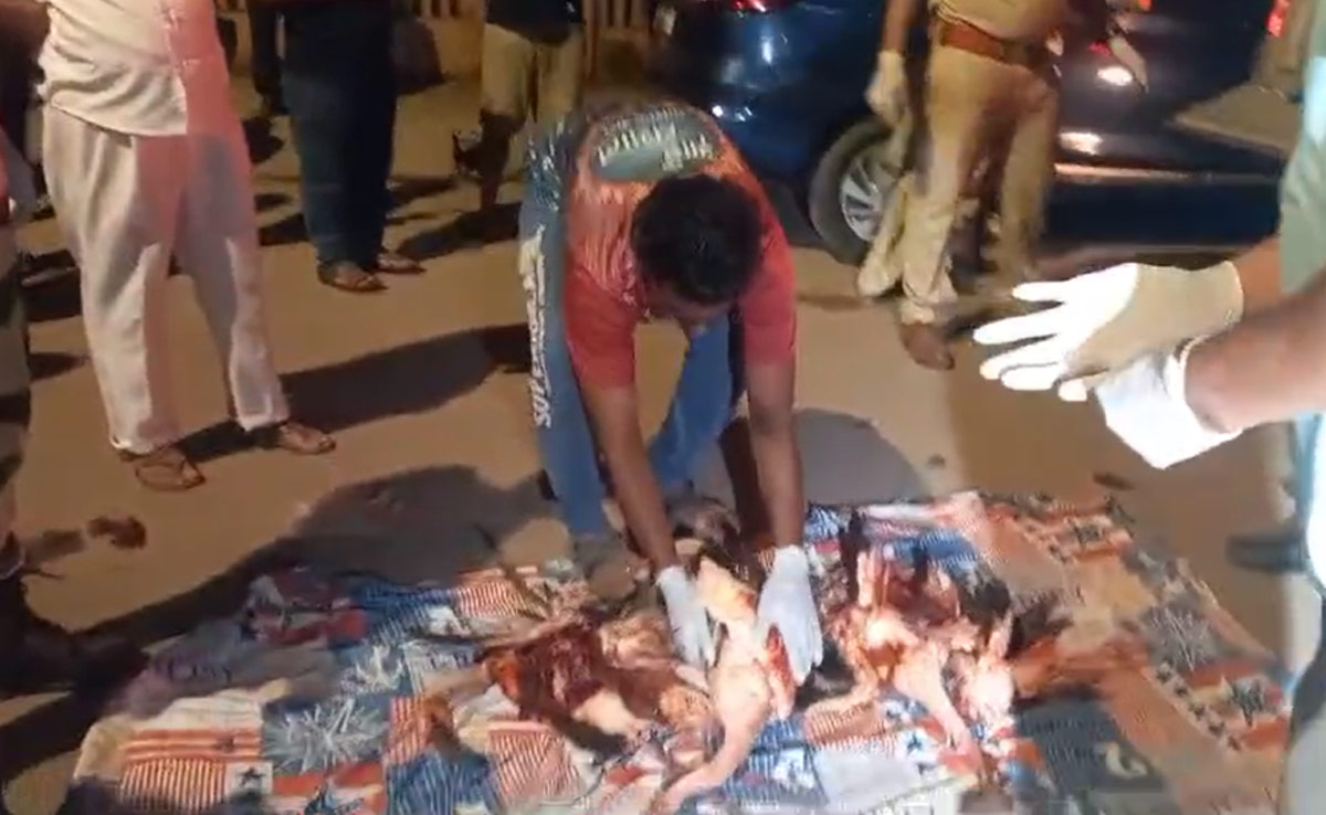 36 Flamingos Found Dead In Mumbai, Hit By Incoming Emirates Flight: Report