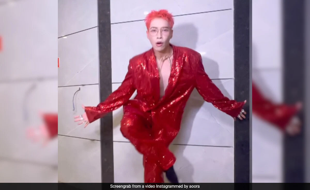 The Allu Arjun Effect: K-Pop Singer Aoora Dances To <i>Pushpa Pushpa</i>