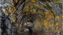 Banswara Gold Mine: बांसवाड़ा में सोने की खान से निकलेगा 11.48 करोड़ टन सोना, अंतिम चरण में नीलामी प्रक्रिया