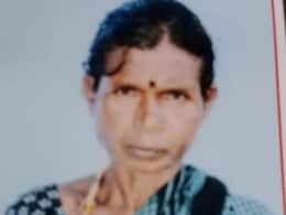 Tiger Mauls Woman To Death, Drags Body 200 Metres Inside Forest In Mysuru Tiger Mauls Woman To Death, Drags Body 200 Metres Inside Forest In Mysuru