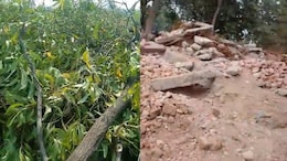 दबंगों ने गरीब के PM आवास पर चलाया बुलडोजर, मारपीट में मासूम बच्ची का टूटा हाथ, मलबे में 2 गायें भी दबीं