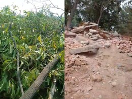 दबंगों ने गरीब के PM आवास पर चलाया बुलडोजर, मारपीट में मासूम बच्ची का टूटा हाथ, मलबे में 2 गायें भी दबीं दबंगों ने गरीब के PM आवास पर चलाया बुलडोजर, मारपीट में मासूम बच्ची का टूटा हाथ, मलबे में 2 गायें भी दबीं